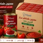 معجون طماطم مركز